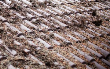 Empshott Green roof cleaning companies