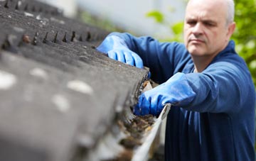 cleaning and inspecting Empshott Green roofs
