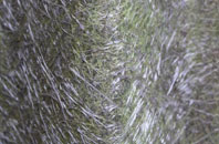 Empshott Green fibreglass roof work